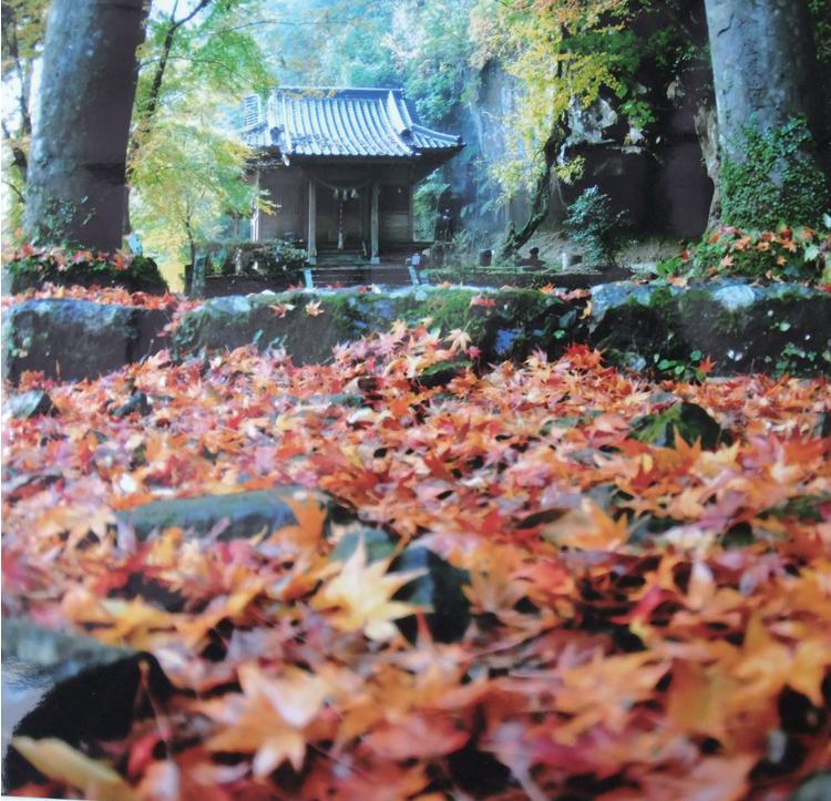 八女津媛神社的紅葉